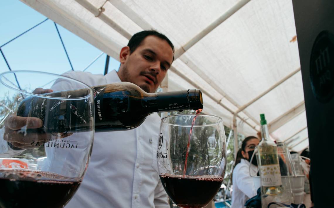 UAQ ofrecerá nueva carrera como Técnico en Cultura del Vino en  Tequisquiapan - El Sol de San Juan del Río | Noticias Locales, Policiacas,  de México, Querétaro y el Mundo