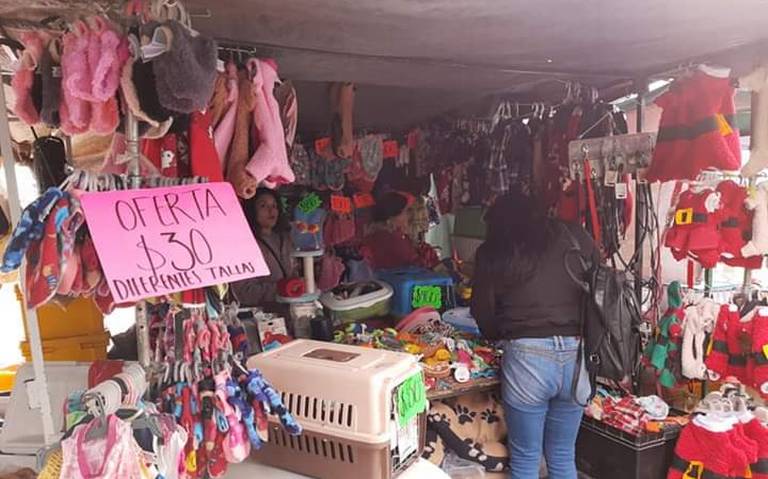 aerolíneas Fuera Pasto Realizan todo tipo de ropa para mascotas - El Sol de San Juan del Río |  Noticias Locales, Policiacas, de México, Querétaro y el Mundo